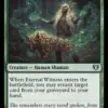 Eternal Witness