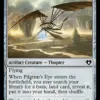 Pilgrim's Eye