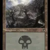 Swamp