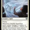 Grateful Apparition