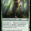 Eidolon of Blossoms