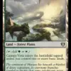 Canopy Vista