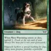 Wary Watchdog