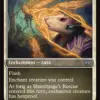Shardmage's Rescue