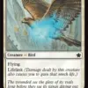 Healer's Hawk