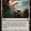 Evolving Wilds