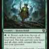 Hermit Druid