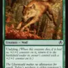 Young Wolf