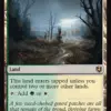 Overgrown Farmland