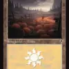 Plains