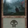 Swamp