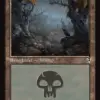 Swamp