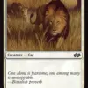 Savannah Lions