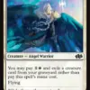 Stalwart Valkyrie