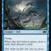 Sky-Eel School
