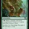 Fungal Plots