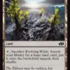 Evolving Wilds