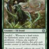 Evolution Sage