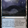 Choked Estuary