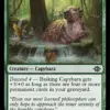 Basking Capybara