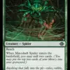Mineshaft Spider