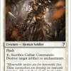 Cathar Commando