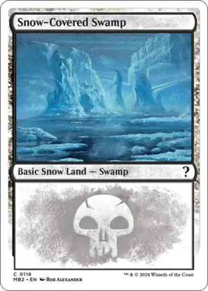 Snow-Covered Swamp