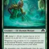 Evolution Witness