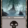 Swamp