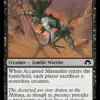 Accursed Marauder