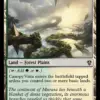 Canopy Vista