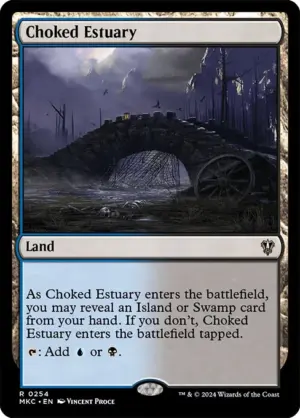 Choked Estuary