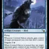 Coveted Falcon