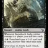 Festerleech