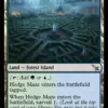 Hedge Maze