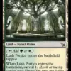 Lush Portico