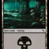 Swamp