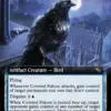 Coveted Falcon