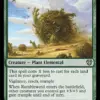 Rumbleweed