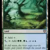 Flooded Grove