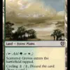 Scattered Groves