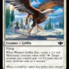 Wanted Griffin