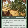 Cactarantula