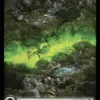 Swamp