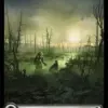 Swamp
