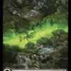 Swamp