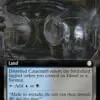 Drowned Catacomb