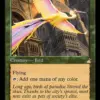Birds of Paradise