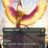 Birds of Paradise