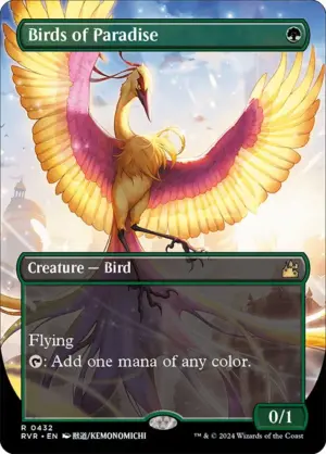 Birds of Paradise